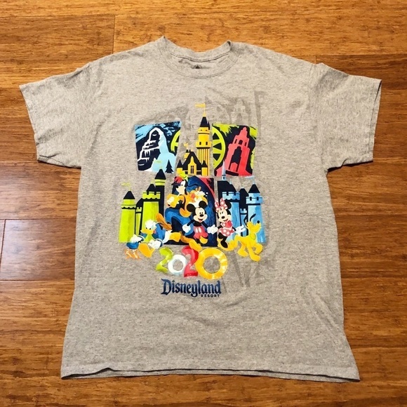 Disneyland Resort 2020 gray short sleeve crew neck t-shirt. Size Women's Large - Picture 2 of 6